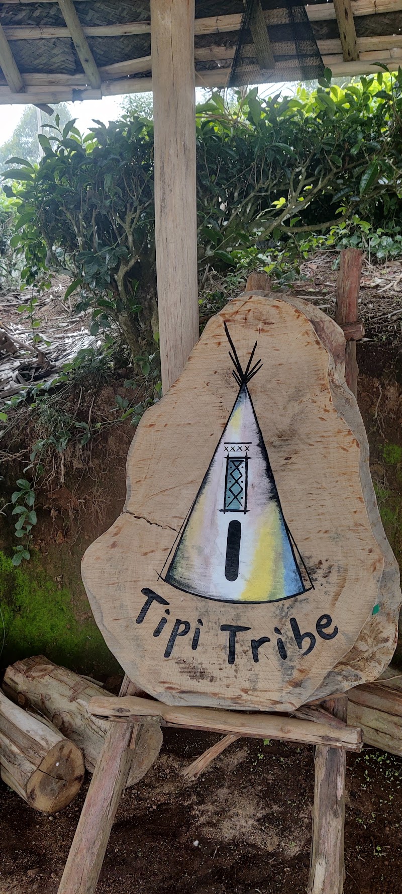 Tipi Tribe - Tipi Tribe, Suryanelli-Kolukkumalai Tea Estate Road, near to Nagamalai, Papathi Shola, Suryanelli, Kerala 685618, India