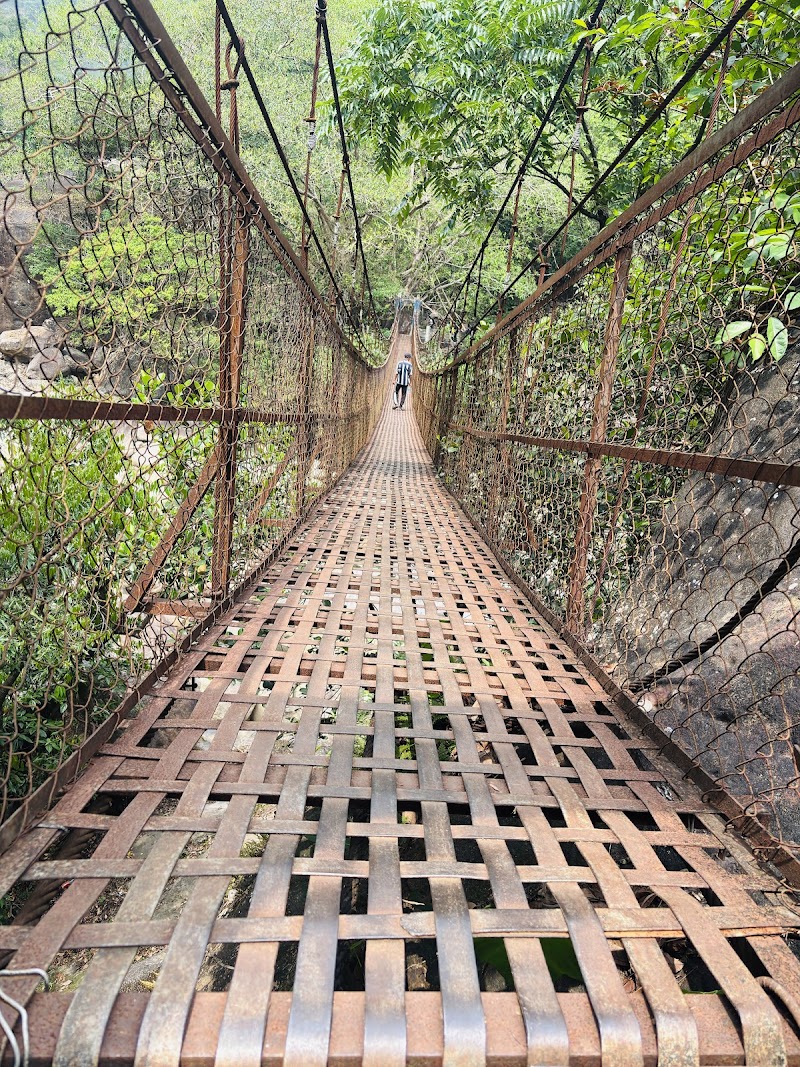 Double Decker Living Root Bridge Meghalaya - Double Decker Living Root Bridge Meghalaya 7M2C+GQ5, Nongriat, Meghalaya 793108, India