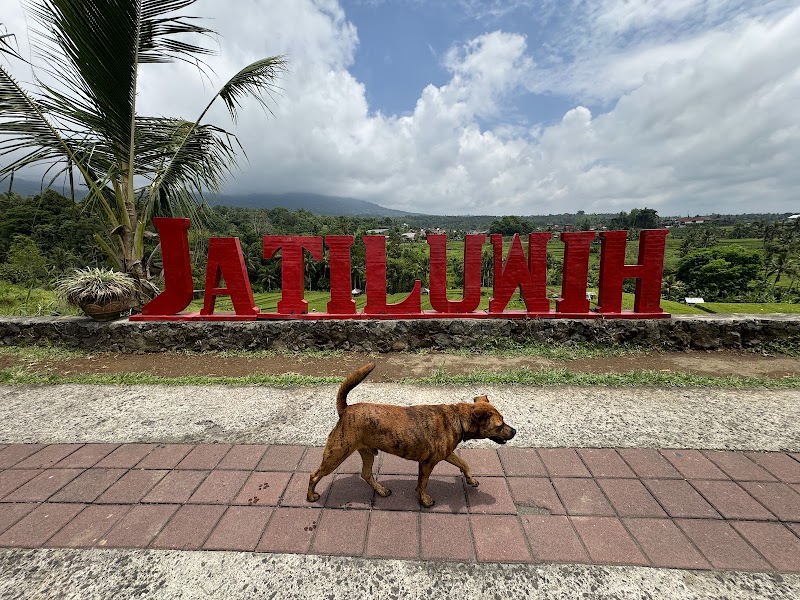 Ubud tour | Bali Tour | Bali Ubud Taxi driver Private - Puja - Ubud tour | Bali Tour | Bali Ubud Taxi driver Private - Puja, Jl. Monkey Forest, Ubud, Kecamatan Ubud, Kabupaten Gianyar, Bali 80571, Indonesia