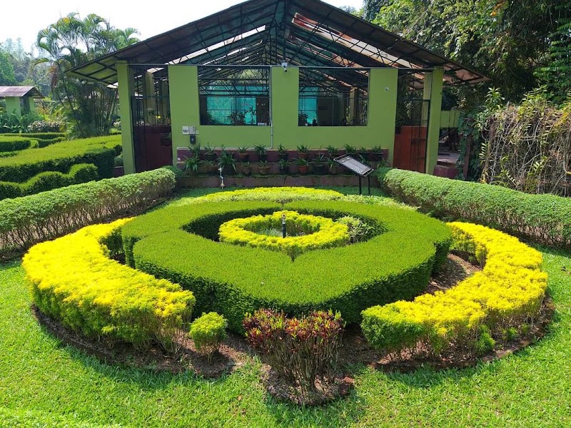 Nilambur - Nilambur, Kerala, India