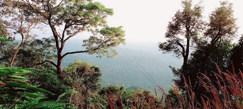 Muthanmudi View Point - Muthanmudi View Point Pallivasal, Keralam 685565, India