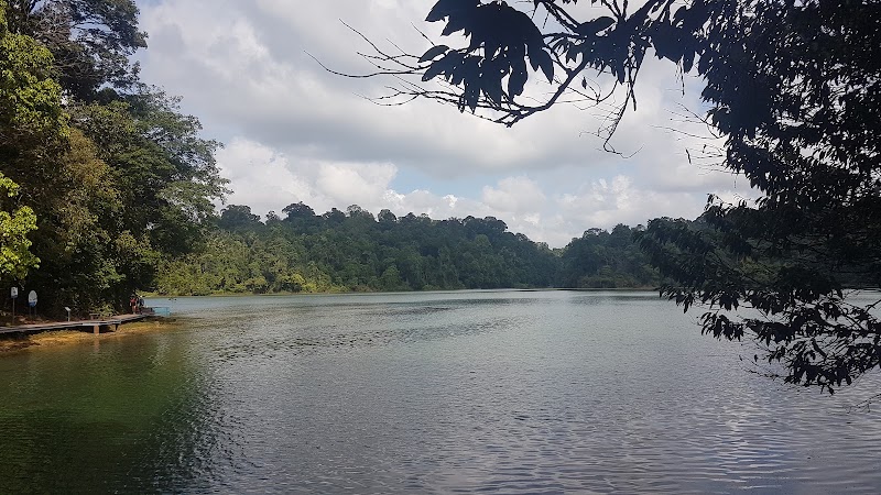 MacRitchie Reservoir - MacRitchie Reservoir, Singapore