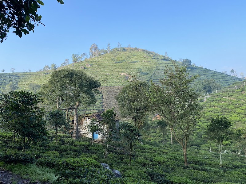 GO KOTAGIRI TOURISM - GO KOTAGIRI TOURISM 5/8 A2, GoKotagiri Lounge, Pandian Park State Highway 15 Nihung Post, Ooty, Highway, Kotagiri, Tamil Nadu 643217, India
