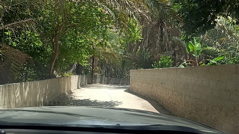 Wadi Mibam - Wadi Mibam, سيماء، Oman