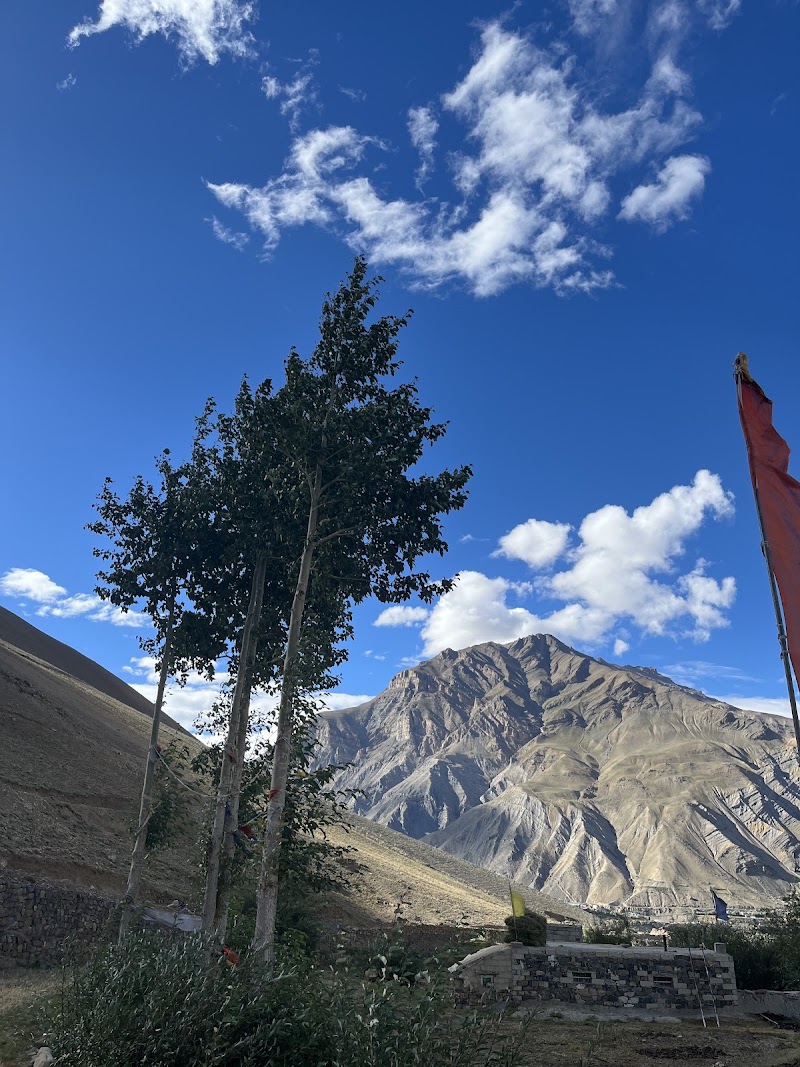 Dharma Homestay - Dharma Homestay, Phuntsok Dorjey C/O Dharma Homestay Sagnam, Pin Valley 172117 Tehsil-Kaza, Sangnam, Himachal Pradesh 172117, India