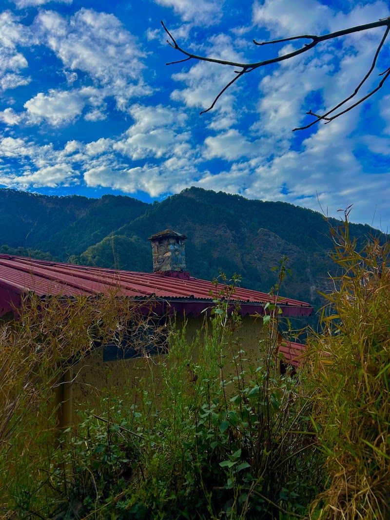 jungle lore birding lodge pangot - jungle lore birding lodge pangot Village Pangot, Kilbury Rd, Via, Budhalakote, Nainital, Uttarakhand 263001, India