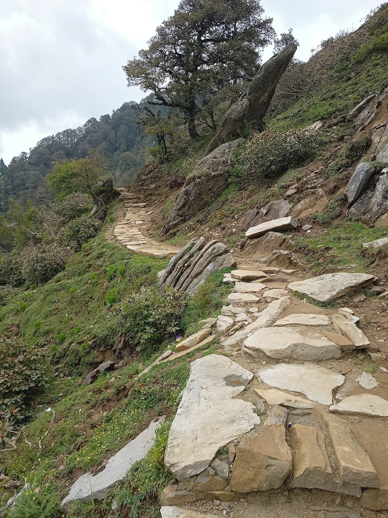 Churdhar Trek point - Churdhar Trek point, RC99+6P, Nohra, Bhog Batewari, Himachal Pradesh 173104, India