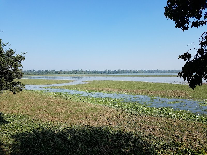 Kaziranga National Park - Kaziranga National Park Assam, India