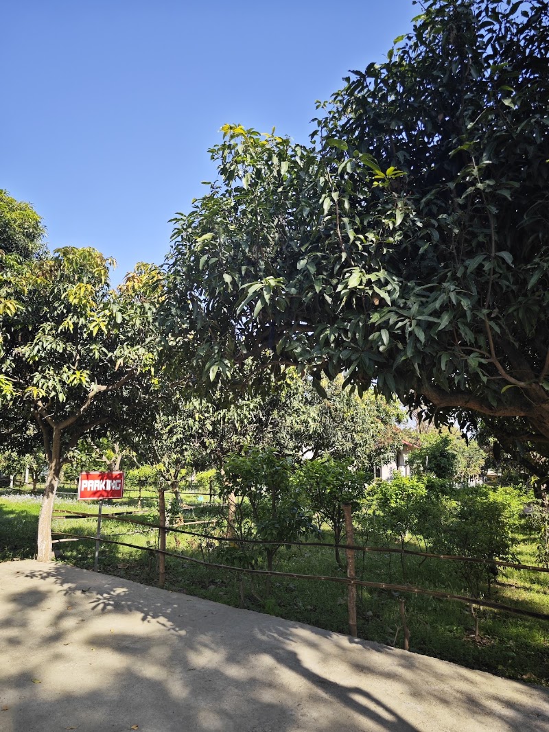 HillTop Orchard - HillTop Orchard, Mandi - Pathankot Rd, Raja Ka Bagh, Basa, Himachal Pradesh 176201, India