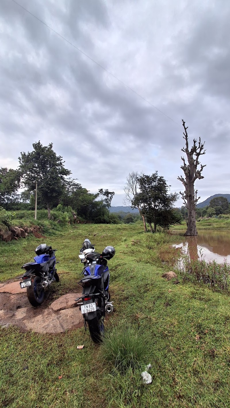 Yelagiri hills - Yelagiri hills HJPM+6QW, Yelagiri, Tamil Nadu 635853, India