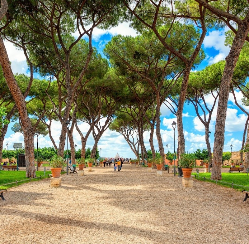 The Orange Trees Garden