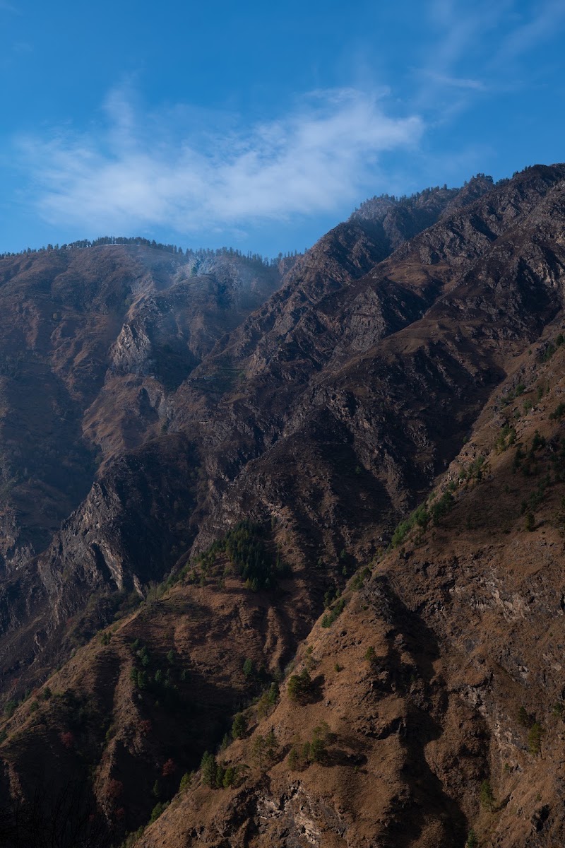 The Social Stays Tirthan - The Social Stays Tirthan, Gushaini, Himachal Pradesh, India, 175123 Gurshaini, Sharchi, Himachal Pradesh 175123, India