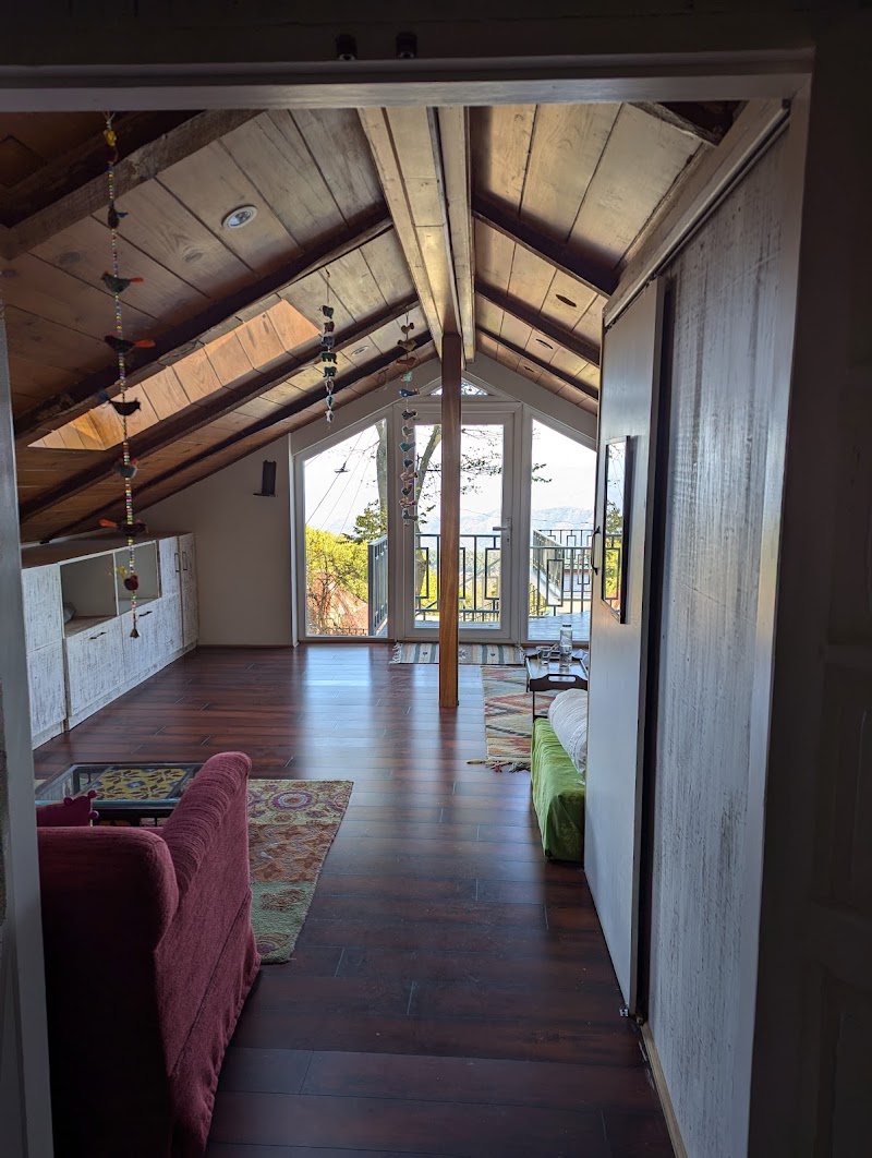 Ellis Villa - Ellis Villa, COMMERCIAL BUILDING, Upper, Mall Rd, opposite CRI main gate, Kasauli, Himachal Pradesh 173204, India