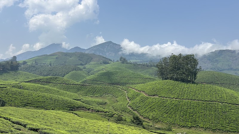MUNNAR TRIP PLANNERS - MUNNAR TRIP PLANNERS New Colony, Munnar, Kerala 685612, India