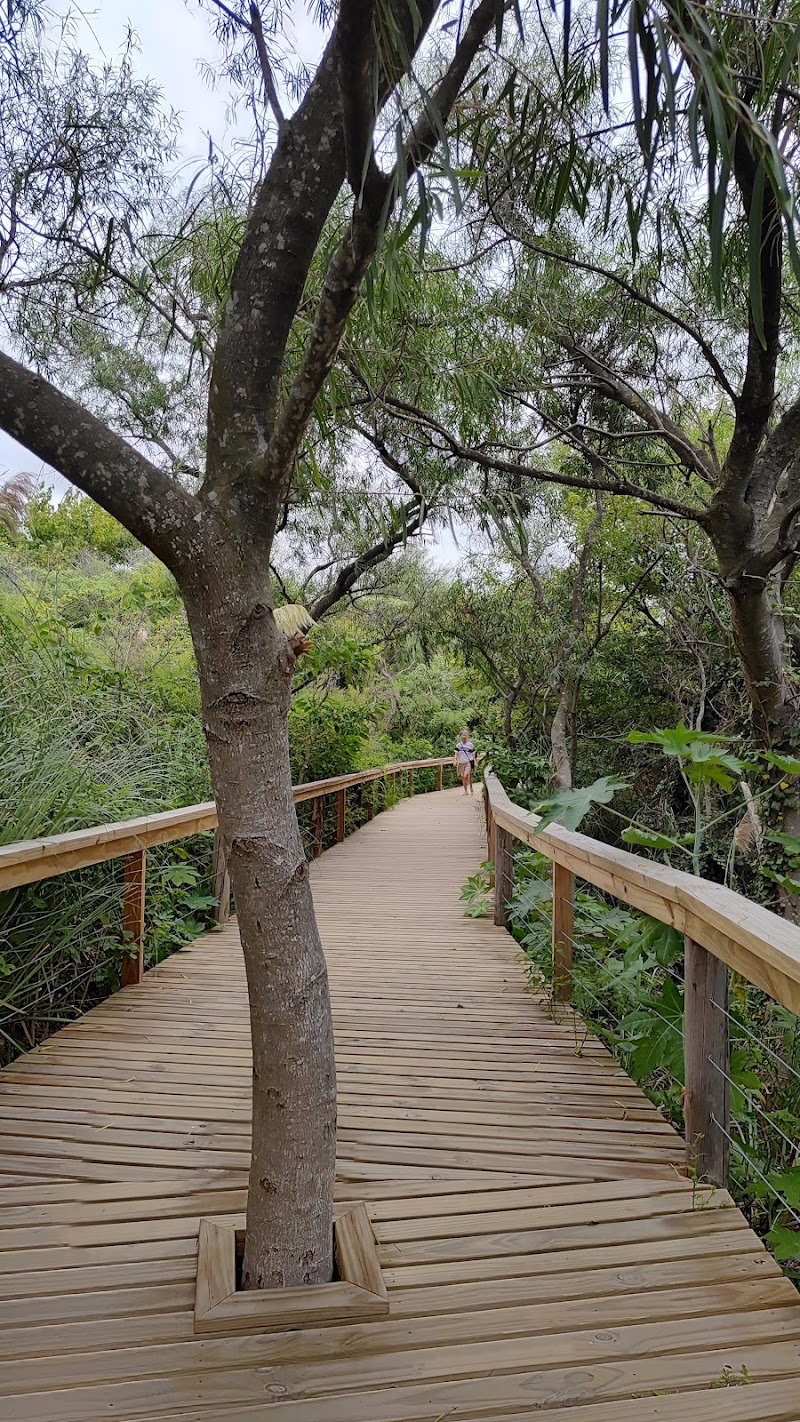 Acceso Sur - Reserva ecológica Costanera Sur - Acceso Sur - Reserva ecológica Costanera Sur, Cam. de los Plumerillos, C1107 Cdad. Autónoma de Buenos Aires, Argentina