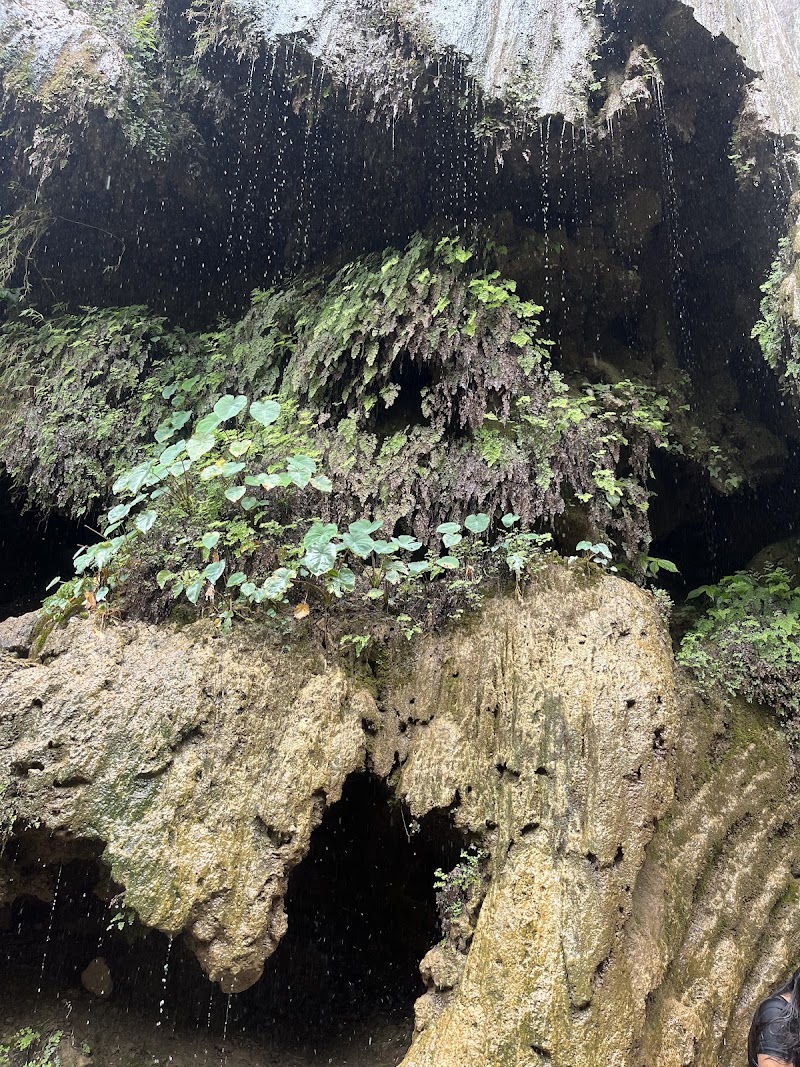 Patna Waterfall - Patna Waterfall 4978+V22, Patna, Uttarakhand 249304, India