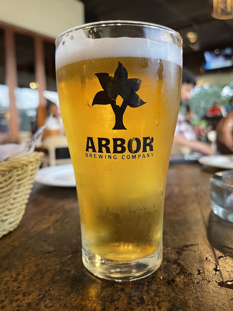Arbor Brewing Company - Arbor Brewing Company 3rd, Allied Grand Plaza, 8, Magrath Rd, Ashok Nagar, Bengaluru, Karnataka 560025, India