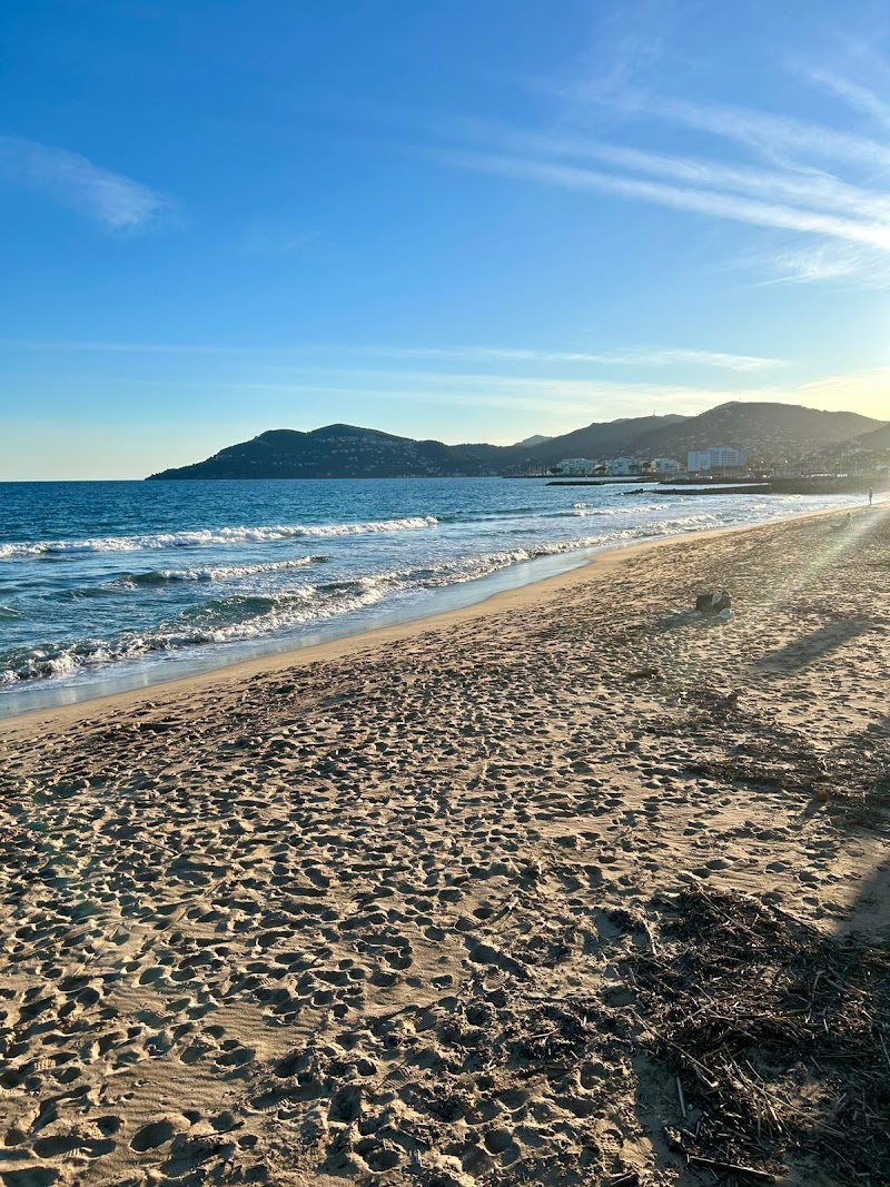 Plage du Sable d'Or - Plage du Sable d'Or Av. du Général de Gaulle, 06210 Mandelieu-la-Napoule, France