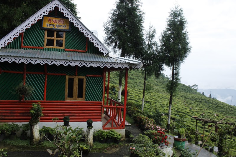 Nechali Khambu Homestay - Nechali Khambu Homestay Rungmbook Rayadhura P.O. Rungmbook, X753+898, Sonada, Rongmook Ceder Tea Garden, West Bengal 734209, India