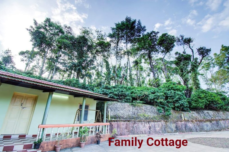 Misty Villa Resort - Misty Villa Resort, Kumbaladalu, Hodavada, Karnataka 571214, India