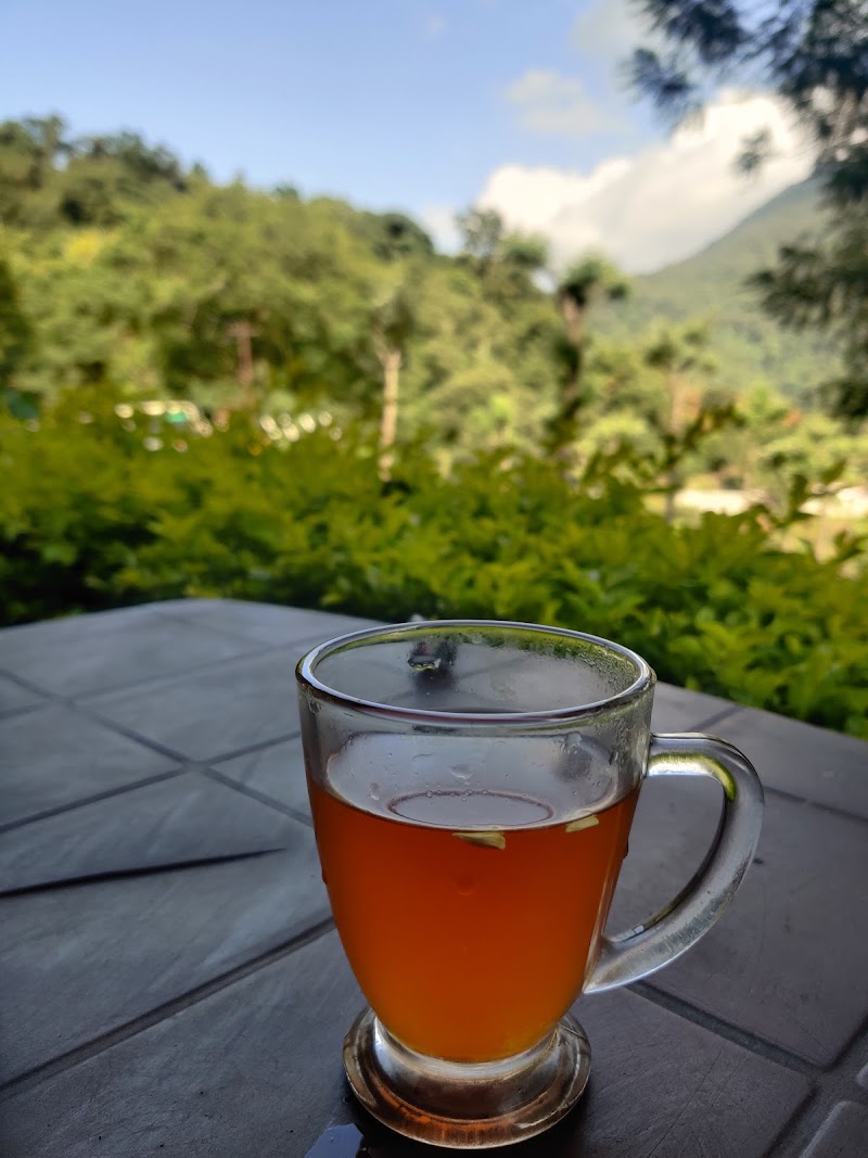 Government Tea Estate - Government Tea Estate 8QJX+QX6, Coonoor, Tamil Nadu 643102, India