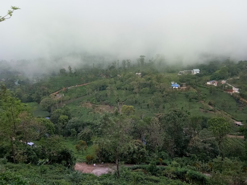 Eagle View Point - Eagle View Point PV8Q+V79, Pullikkanam - Elappara Road, Keralam 685503, India