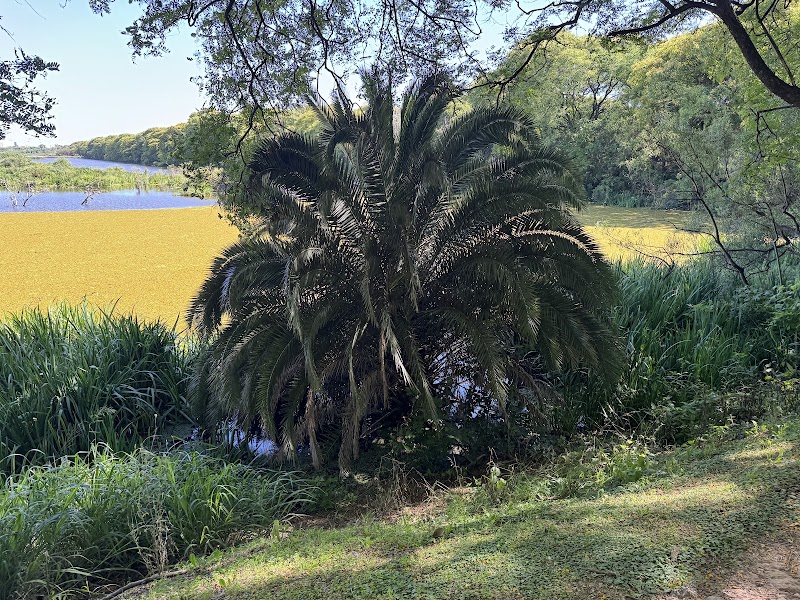 Reserva Ecológica Costanera Sur - Reserva Ecológica Costanera Sur, Cam. de los Plumerillos, C1107 Cdad. Autónoma de Buenos Aires, Argentina