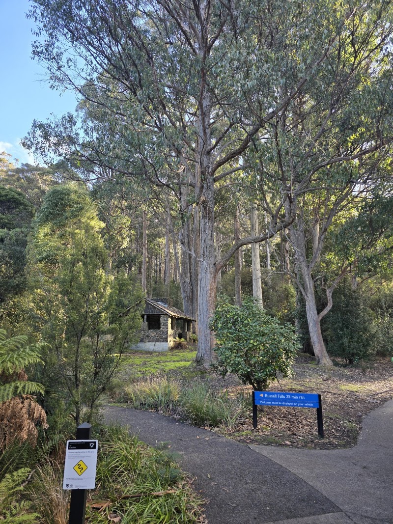 Mount Field Visitor Centre - Mount Field Visitor Centre, 66 Lake Dobson Rd, Mount Field TAS 7140, Australia