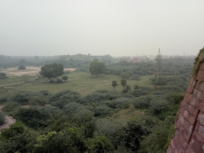 Tughlakabad District Park - Tughlakabad District Park, G759+R73, Mehrauli - Badarpur Rd, Tughlaqabad Village, Tughlakabad, New Delhi, Delhi 110044, India