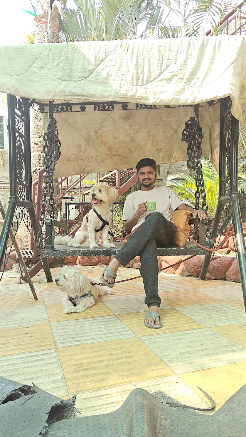 Zupy's Den | Premium Pet Retreat - Zupy's Den | Premium Pet Retreat, Zupy's Den, Dolphins Farm House Doomartalab, 236/8 & 236/13, Amanaka Thana Rd, near India Oil petrol pump, Amanaka, Raipur, Chhattisgarh 492099, India