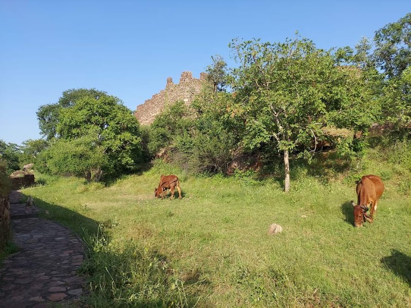 Gandhi Sagar - Gandhi Sagar, Madhya Pradesh 458771, India