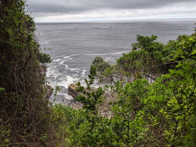 Tsitsikamma - Tsitsikamma, South Africa