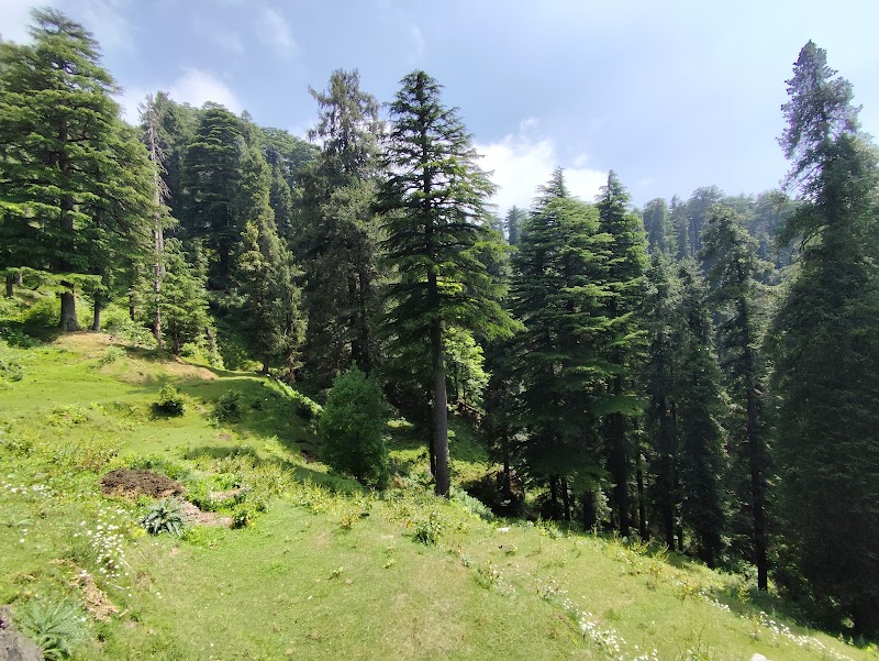 Kalatop Wildlife Sanctuary - Kalatop Wildlife Sanctuary H238+5X8, Kalatope R.F, Himachal Pradesh 176304, India