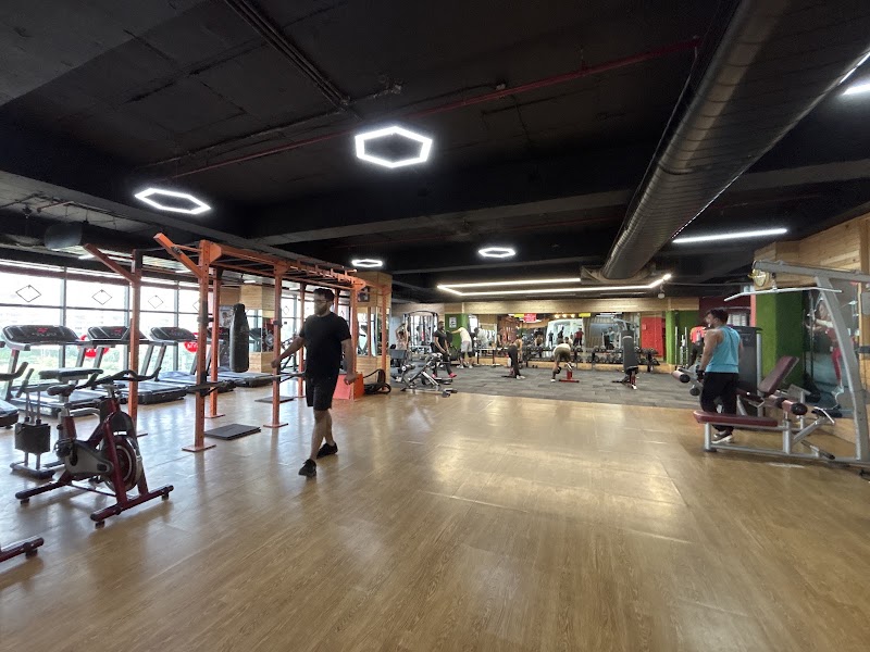 Hype The Gym - Hub 66