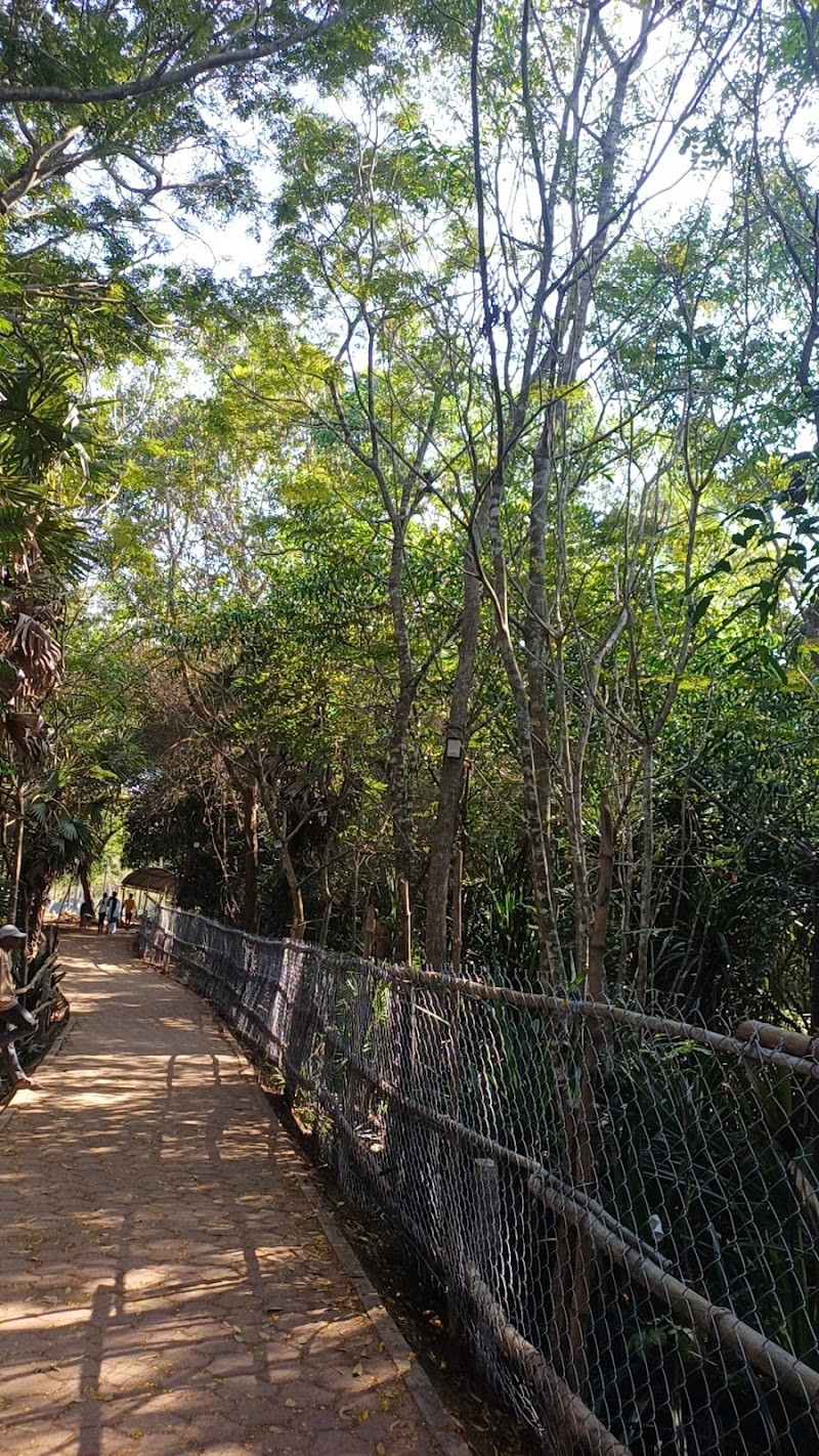 Auroville Parking
