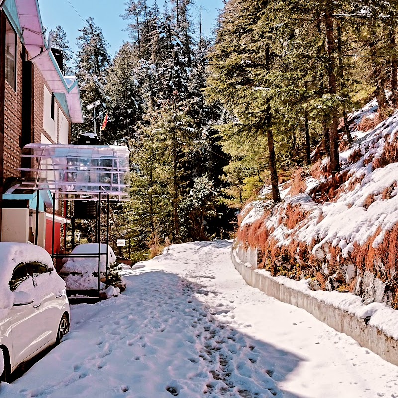 Nature Home Stay - Nature Home Stay Nature Home Stay Astha Home, beside Mashobra, Vill Jagoti, Mashobra, Himachal Pradesh 171007, India