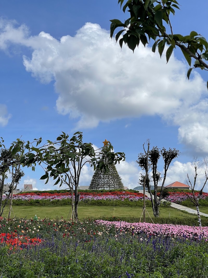 Delight Park Dalat - Delight Park Dalat, 113 Hồ Xuân Hương, Ward 9, Lâm Viên - Đà Lạt, Lâm Đồng, Vietnam