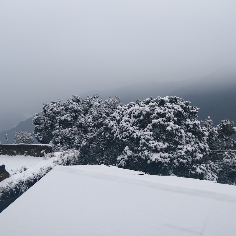 Sunrise Homestay - Sunrise Homestay Tenzing Norgay Rd, near Lattey Lama Gumba, Baraka Jhora, Ganeshgram, Phulbari, Darjeeling, West Bengal 734102, India