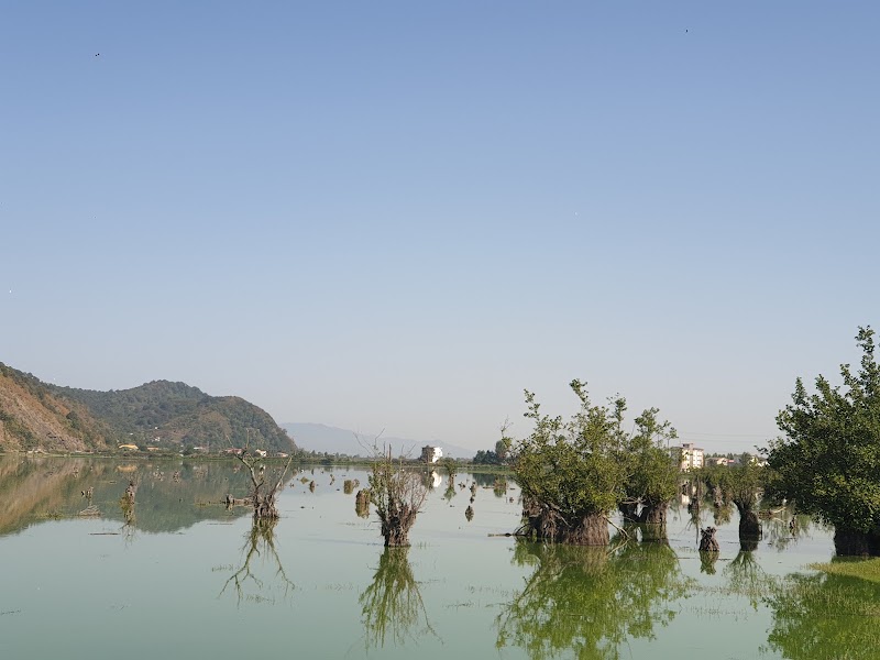 Estil Lagoon - Estil Lagoon, Iran