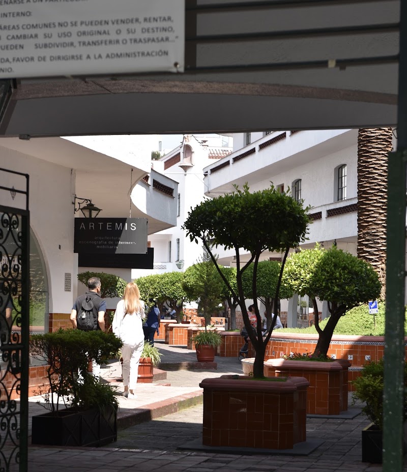 Pasaje Polanco