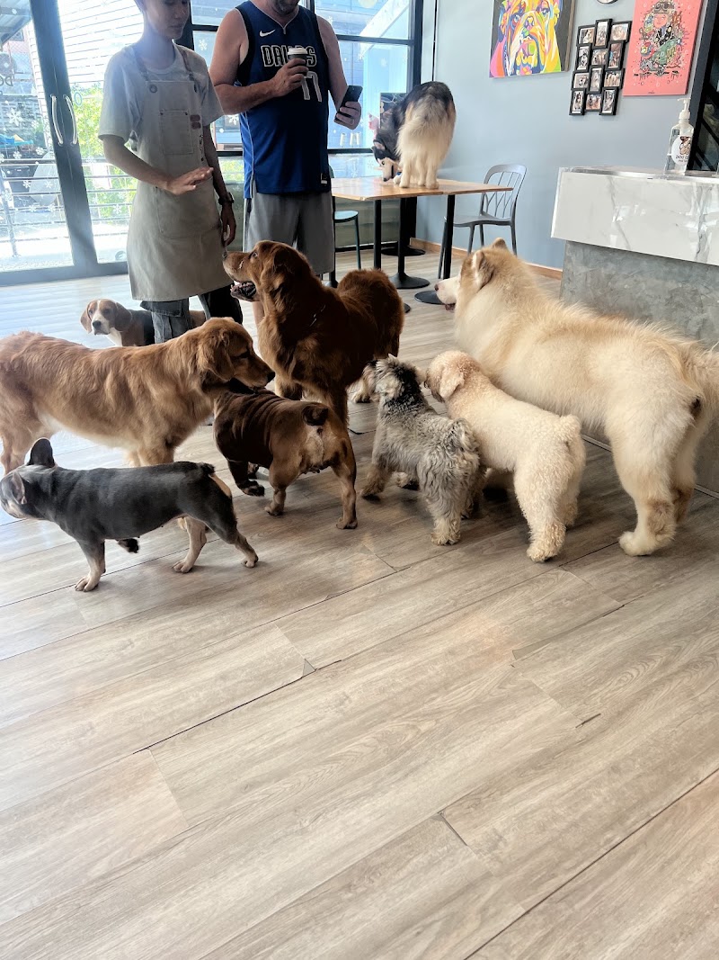 Dog Club Pattaya - Dog Club Pattaya 38 10 Soi South Muang Pattaya, Amphoe Bang Lamung, Chang Wat Chon Buri 20150, Thailand