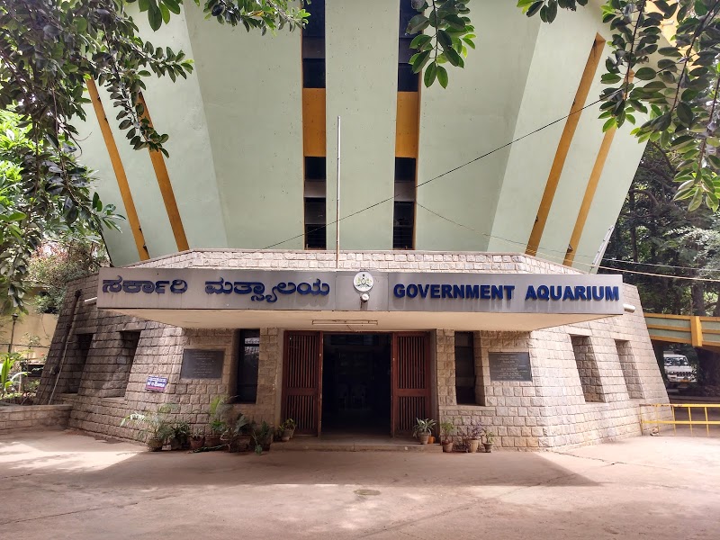 Namma Bengaluru Aquarium - Namma Bengaluru Aquarium Kasturba Rd, Shanthala Nagar, Bengaluru, Karnataka 560001, India