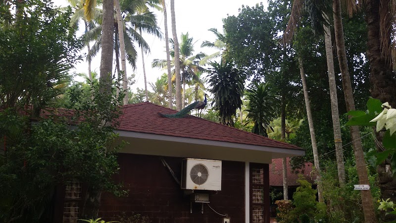 Akhil Beach Resort Pvt Ltd. - Akhil Beach Resort Pvt Ltd. North Cliff, Varkala, Trivandrum, Varkala, Kerala 695141, India