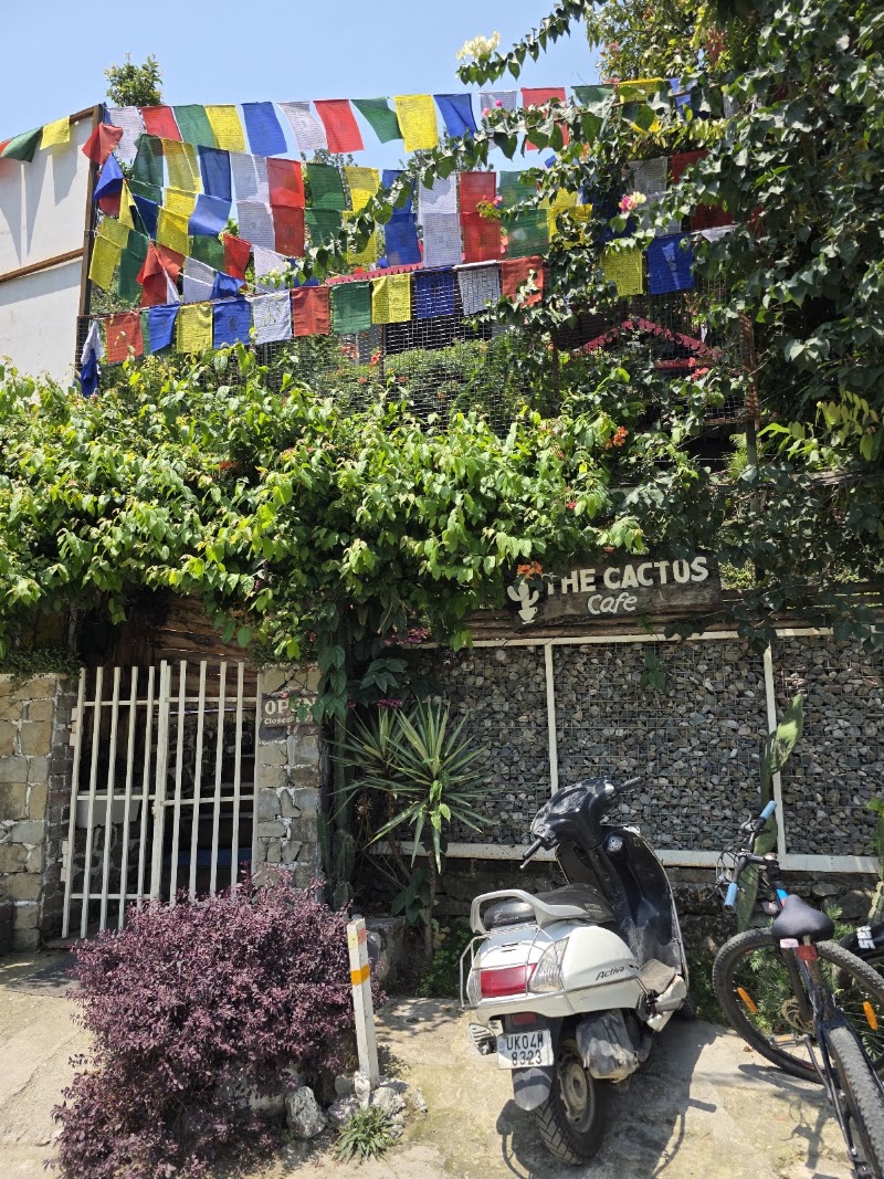 The Cactus Garden Cafe - The Cactus Garden Cafe, Bareilly - Nainital Rd, Bhujiyaghat, Smanora Range, Uttarakhand 263126, India