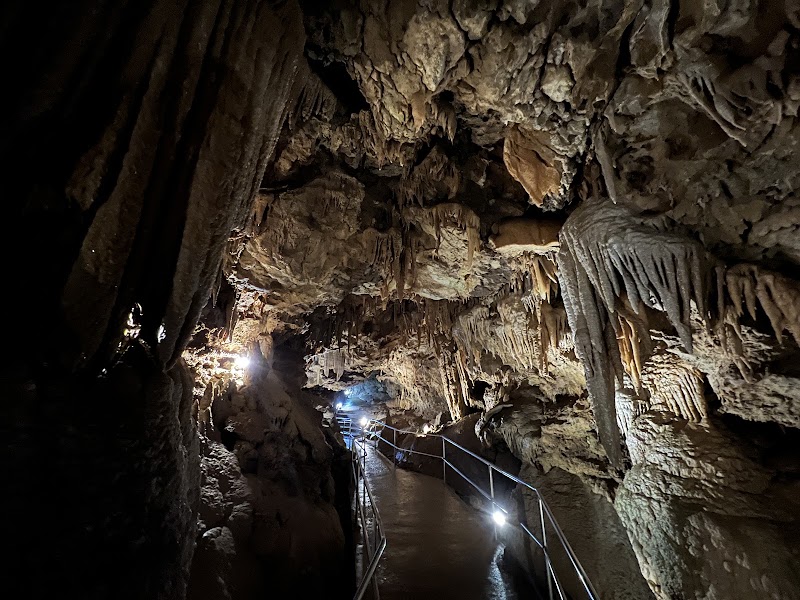 Lake Shasta Caverns - Lake Shasta Caverns Redding, CA 96003, USA
