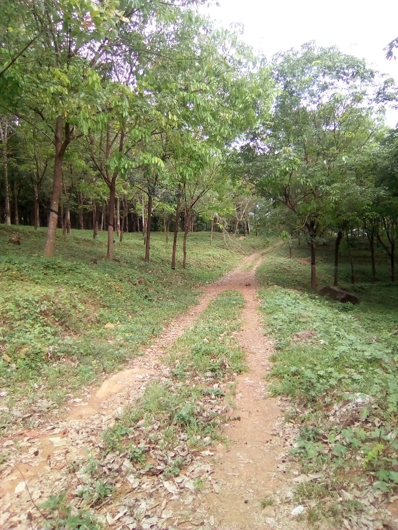 Mahuadanr - Mahuadanr, Jharkhand 822119, India