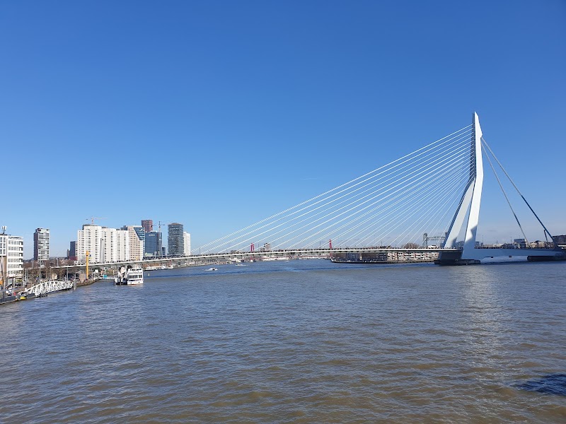Nieuwe Maas - Nieuwe Maas, Netherlands