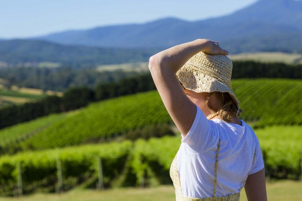 Yarra Valley Winery Tours - Yarra Valley Winery Tours, 17 Hightech Pl, Lilydale VIC 3140, Australia