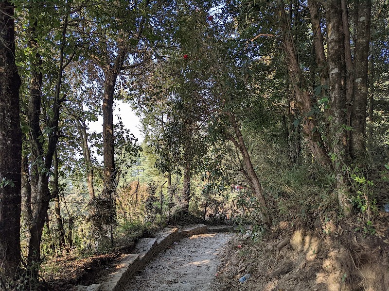 Track to Sitla - Track to Sitla, FJGV+MRJ, Mukteshwar Mahadev Rd, Mukteshwar, Uttarakhand 263138, India