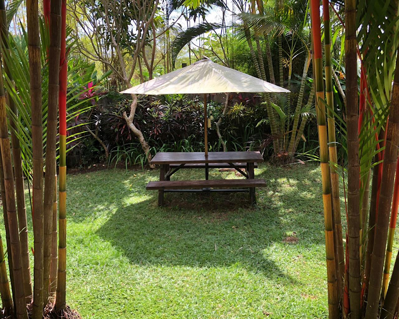 Pande Homestay - Pande Homestay Jl. Pantai Batu Bolong No.1, Canggu, Kec. Kuta Utara, Kabupaten Badung, Bali 80361, Indonesia